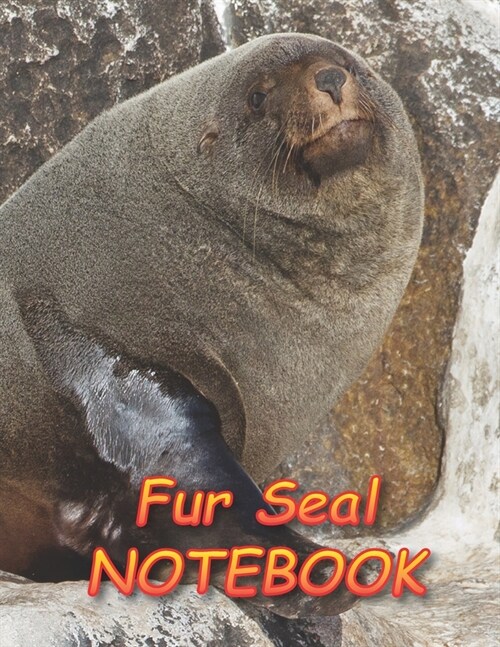 Fur Seal NOTEBOOK: Notebooks and Journals 110 pages (8.5x11) (Paperback)