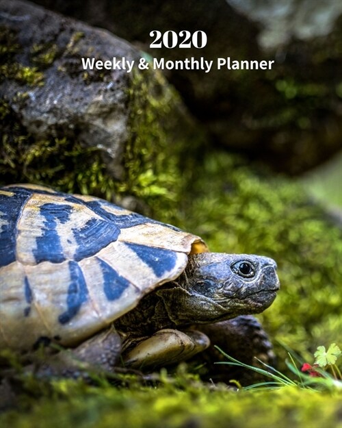 2020 Weekly and Monthly Planner: Turtle - Monthly Calendar with U.S./UK/ Canadian/Christian/Jewish/Muslim Holidays- Calendar in Review/Notes 8 x 10 in (Paperback)