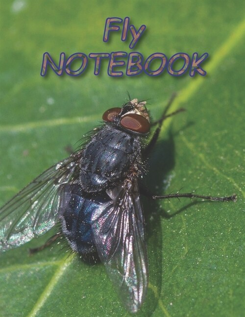 Fly NOTEBOOK: Notebooks and Journals 110 pages (8.5x11) (Paperback)