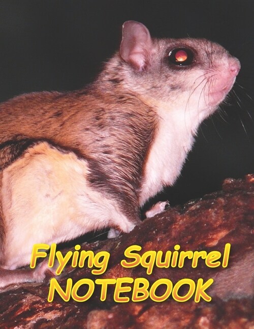 Flying Squirrel NOTEBOOK: Notebooks and Journals 110 pages (8.5x11) (Paperback)