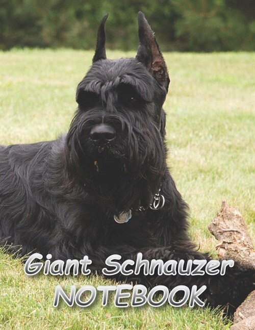 Giant Schnauzer NOTEBOOK: Notebooks and Journals 110 pages (8.5x11) (Paperback)