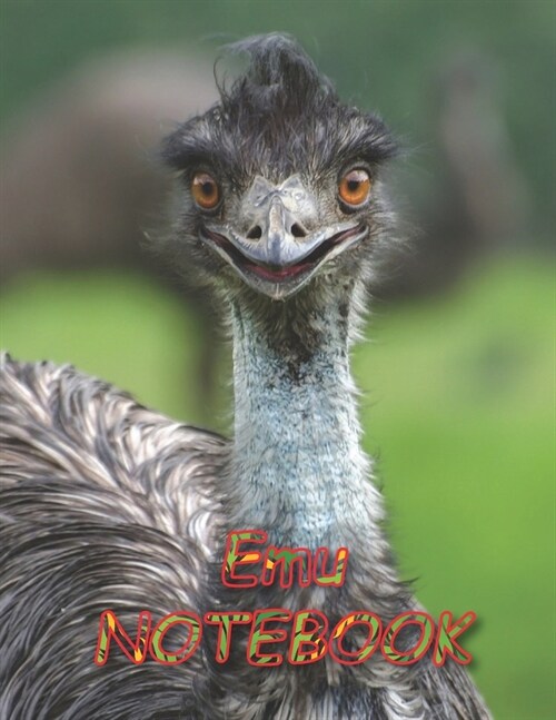 Emu NOTEBOOK: Notebooks and Journals 110 pages (8.5x11) (Paperback)
