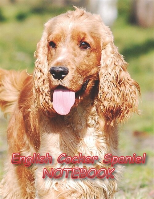 English Cocker Spaniel NOTEBOOK: Notebooks and Journals 110 pages (8.5x11) (Paperback)