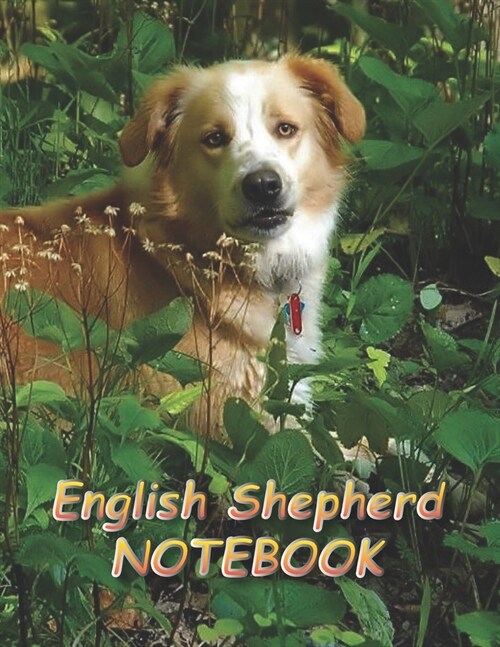 English Shepherd NOTEBOOK: Notebooks and Journals 110 pages (8.5x11) (Paperback)