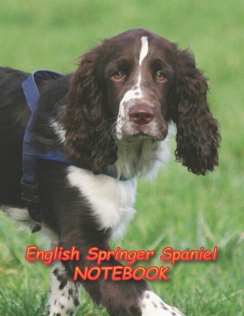 English Springer Spaniel NOTEBOOK: Notebooks and Journals 110 pages (8.5x11) (Paperback)