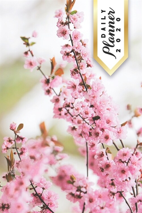 Daily Planner 2020: Japanese Cherry Blossoms Sakura Love 52 Weeks 365 Day Daily Planner for Year 2020 6x9 Everyday Organizer Monday to S (Paperback)