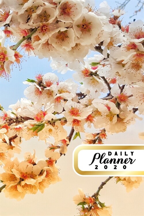 Daily Planner 2020: Pink Sakura Flowers Cherry Blossoms 52 Weeks 365 Day Daily Planner for Year 2020 6x9 Everyday Organizer Monday to Su (Paperback)