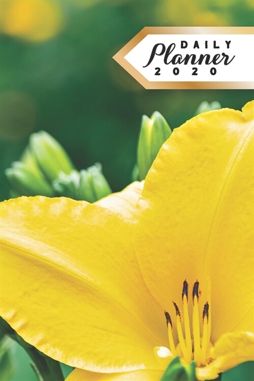 Daily Planner 2020: Yellow Tulip Flowers 52 Weeks 365 Day Daily Planner for Year 2020 6x9 Everyday Organizer Monday to Sunday Spring Sum (Paperback)