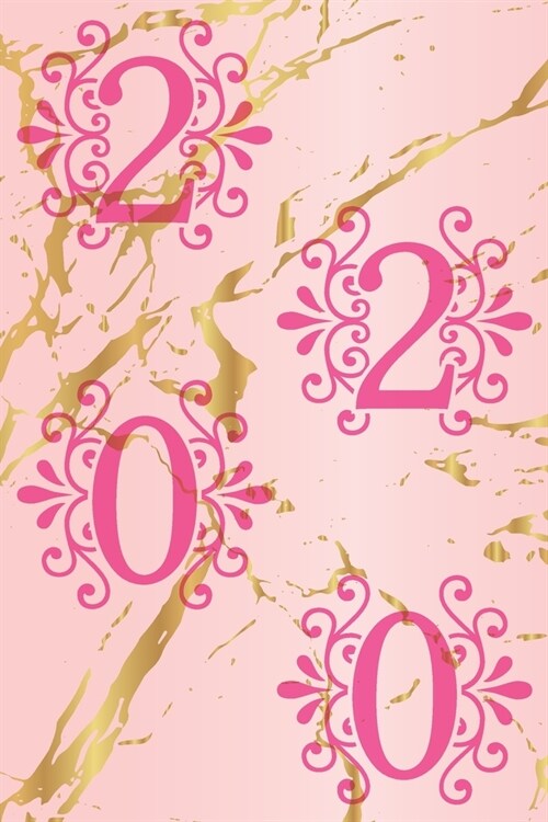 2020 Planner: Monthly Weekly Vertical Days Dated Agenda with Monday Start January through December Organizer Pink Marble Design (Paperback)