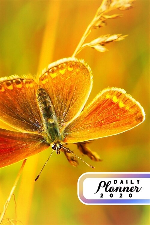 Daily Planner 2020: Butterfly Enthusiast 52 Weeks 365 Day Daily Planner for Year 2020 6x9 Everyday Organizer Monday to Sunday Monarch Sw (Paperback)