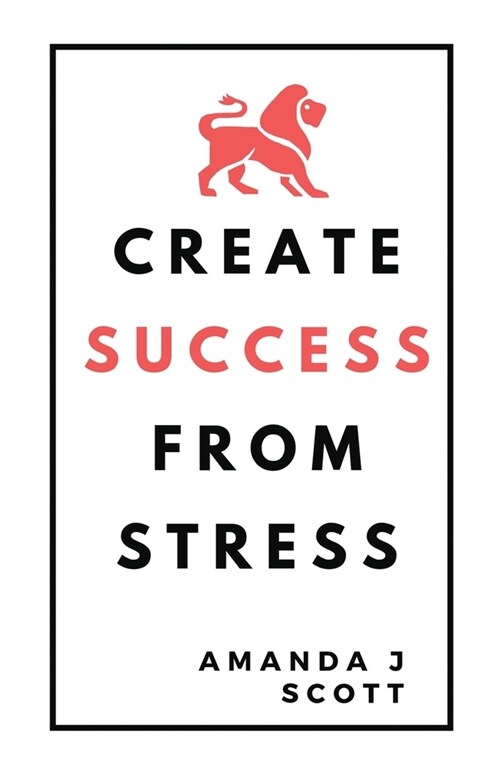 Create Success From Strength (Paperback)