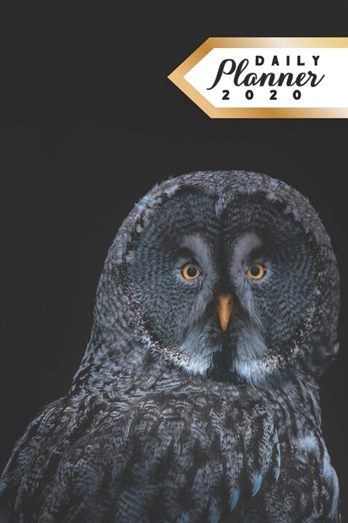 Daily Planner 2020: Owl Lovers Bird Watcher 52 Weeks 365 Day Daily Planner for Year 2020 6x9 Everyday Organizer Monday to Sunday Night O (Paperback)
