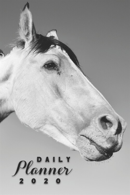 Daily Planner 2020: Horse Enthusiast Equestrian Horse Lover 52 Weeks 365 Day Daily Planner for Year 2020 6x9 Everyday Organizer Monday t (Paperback)