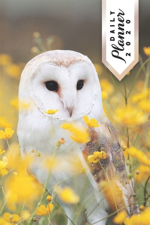 Daily Planner 2020: White Owl Bird Watchers 52 Weeks 365 Day Daily Planner for Year 2020 6x9 Everyday Organizer Monday to Sunday Bird Scie (Paperback)