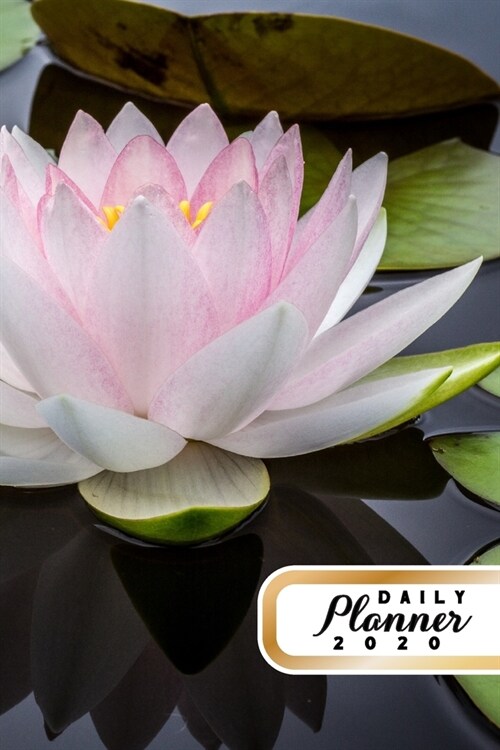 Daily Planner 2020: Lotus Flower 52 Weeks 365 Day Daily Planner for Year 2020 6x9 Everyday Organizer Monday to Sunday Fresh Water Plant (Paperback)