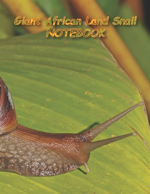 Giant African Land Snail NOTEBOOK: Notebooks and Journals 110 pages (8.5x11) (Paperback)