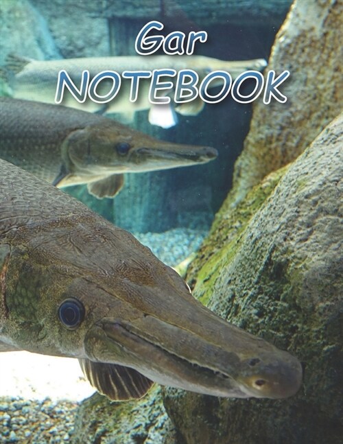 Gar NOTEBOOK: Notebooks and Journals 110 pages (8.5x11) (Paperback)