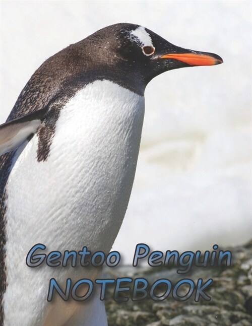 Gentoo Penguin NOTEBOOK: Notebooks and Journals 110 pages (8.5x11) (Paperback)
