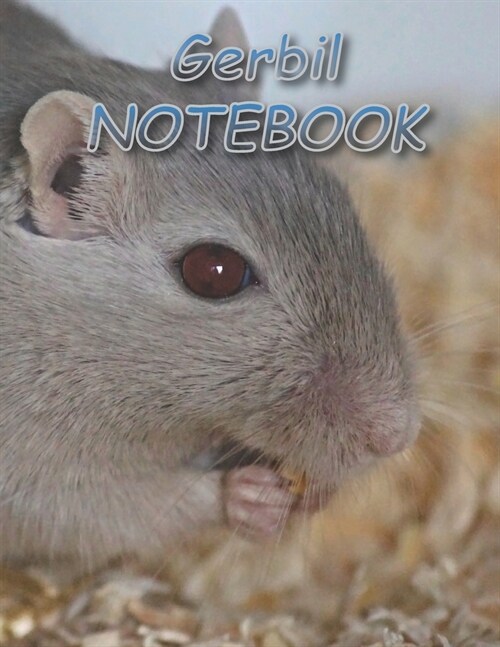 Gerbil NOTEBOOK: Notebooks and Journals 110 pages (8.5x11) (Paperback)