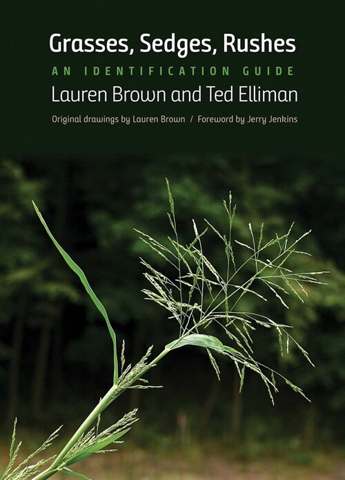 Grasses, Sedges, Rushes: An Identification Guide (Paperback)