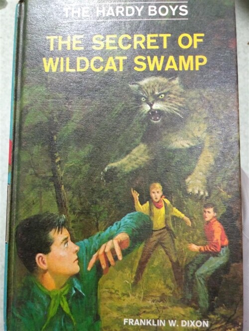 [중고] The Secret of Wildcat Swamp (Hardcover)