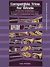 Alto Saxophone (Paperback)