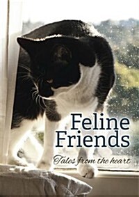 Feline Friends (Hardcover)