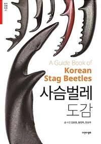 사슴벌레 도감 =A guide book of Korean stag beetles 