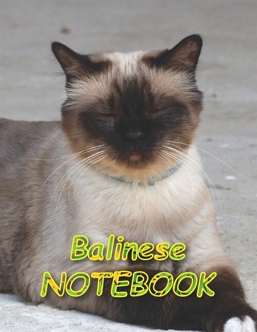Balinese NOTEBOOK: notebooks and journals 110 pages (8.5x11) (Paperback)