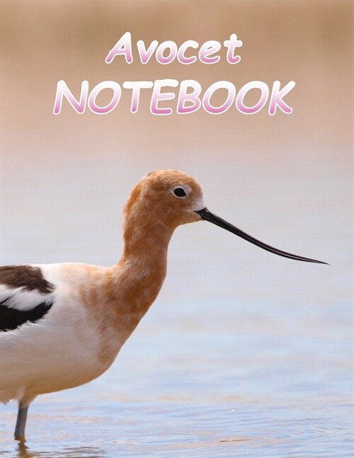 Avocet NOTEBOOK: notebooks and journals 110 pages (8.5x11) (Paperback)