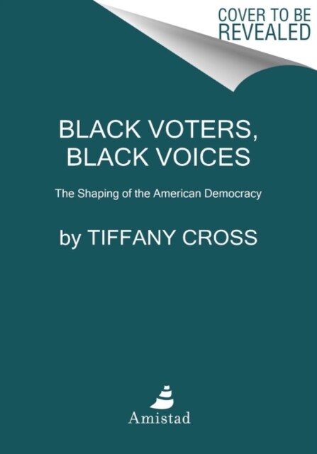 Say It Louder!: Black Voters, White Narratives, and Saving Our Democracy (Paperback)