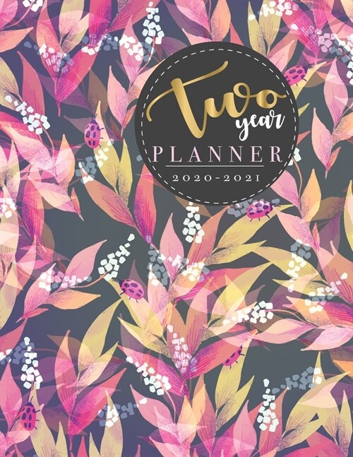 Two year Planner 2020-2021: Weekly Monthly Agenda Calendar Organizer January through December for personal time management To Do List dot (Paperback)