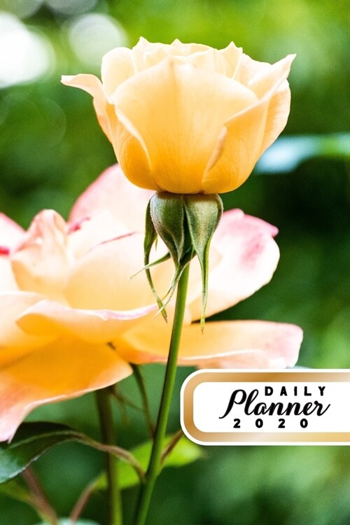 Daily Planner 2020: Rose Flowers Gardening 52 Weeks 365 Day Daily Planner for Year 2020 6x9 Everyday Organizer Monday to Sunday Flower Gro (Paperback)