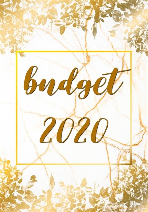 Budget Planner 2020: A Year - 12 Monthly Budget Planner Book, Weekly Budget Planner, Financial Planner Organizer Budget Book, Money Planner (Paperback)