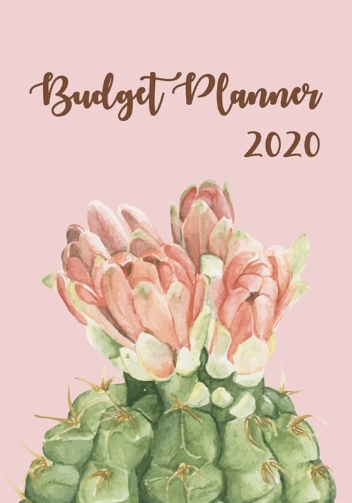 Budget Planner 2020: A Year - 12 Monthly Budget Planner Book, Weekly Budget Planner, Financial Planner Organizer Budget Book, Money Planner (Paperback)