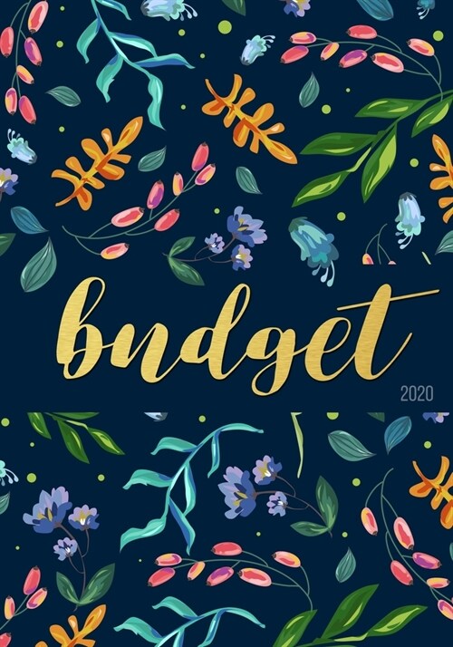 Budget Planner 2020: A Year - 12 Monthly Budget Planner Book, Weekly Budget Planner, Financial Planner Organizer Budget Book, Money Planner (Paperback)