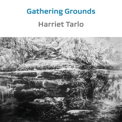 Gathering Grounds : 2011-2019 (Paperback)