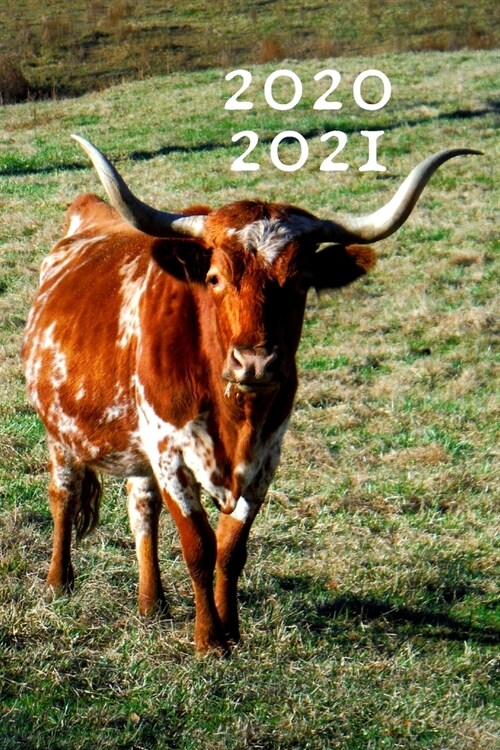 Texas Longhorn Cattle Steer Cow Lover 25 Month Weekly Planner Dated Calendar for Women & Men: 2 years plus December To-Do Lists, Tasks, Notes or Appoi (Paperback)