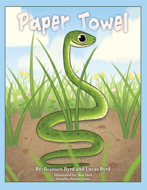 Paper Towel (Paperback)