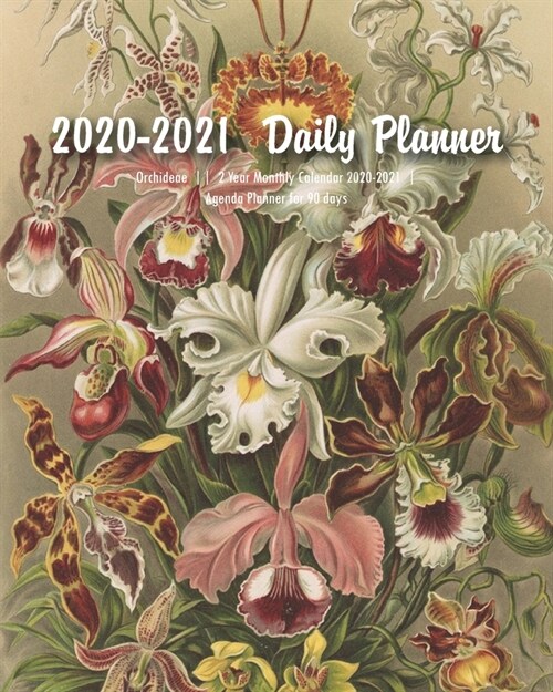 2020-2021 Daily Planner: Orchideae - 2 Year Monthly Calendar 2020-2021 (with Federal Holidays ) - Agenda Planner for 90 days - 8 x 10 (20.32 (Paperback)