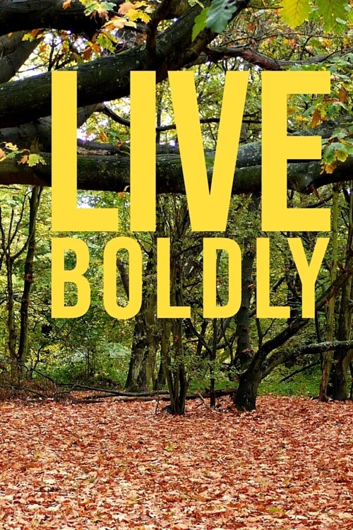 Live Boldly: Live with Passion Motivational and Inspirational Note-taking Notebook - 6x9 inch Blank, Lined Notebook for Road Trips, (Paperback)