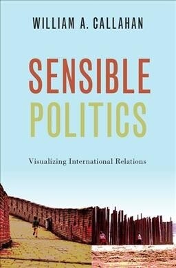 Sensible Politics (Hardcover)