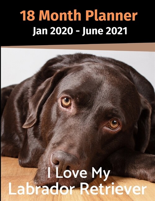 Jan 2020 - June 2021 18 Month Planner: I Love My Labrador Retriever (Paperback)