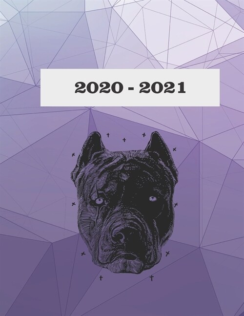 2020-2021: American Pitbull Monthly Planner 2020-2021 (Paperback)