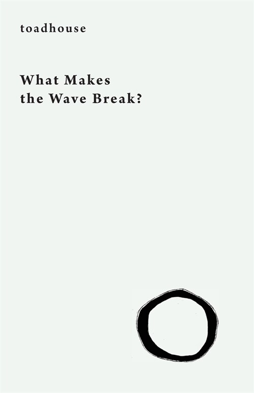 What Makes the Wave Break? (Paperback)