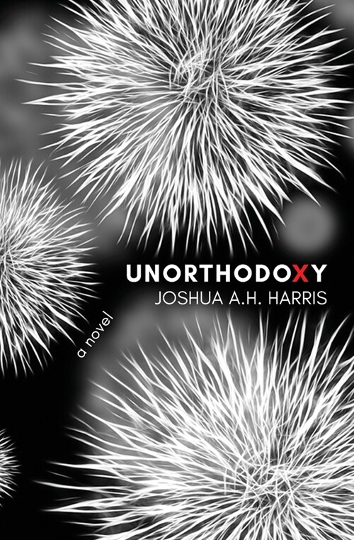 Unorthodoxy (Paperback)