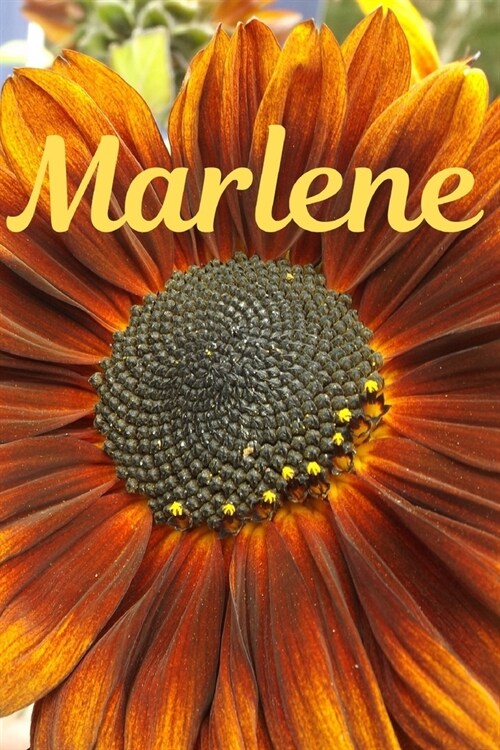 Marlene: Sunflower Personalized Journal to write in, Positive Thoughts for Women Teens Girls gifts holidays (Paperback)