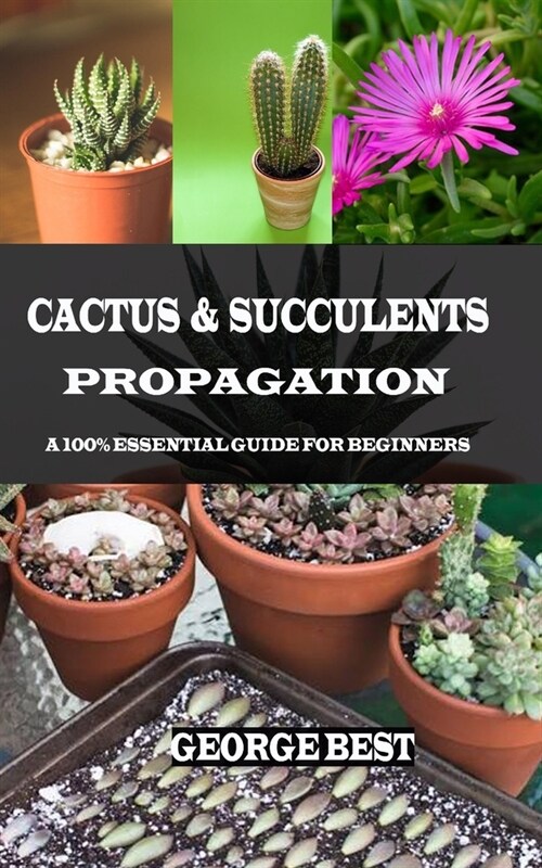 Cactus & Succulents Propagation: A 100% Essential Guide for Beginners (Paperback)