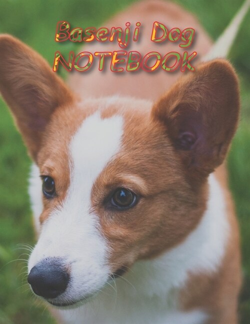 Basenji Dog NOTEBOOK: notebooks and journals 110 pages (8.5x11) (Paperback)