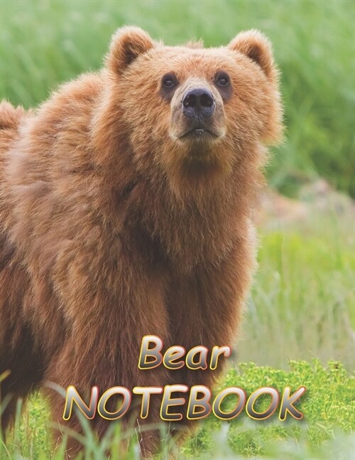 Bear NOTEBOOK: notebooks and journals 110 pages (8.5x11) (Paperback)